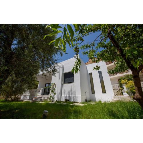 Olivium Rooms