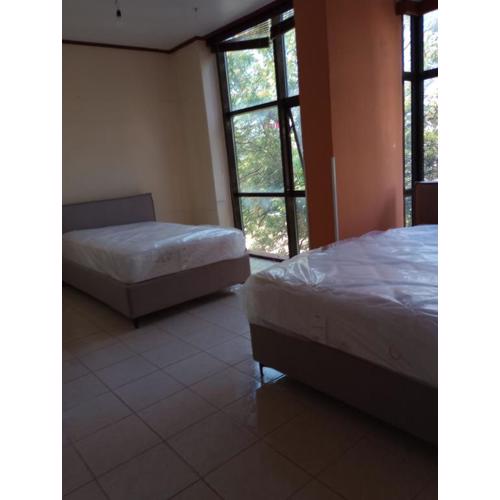 Olympia Property