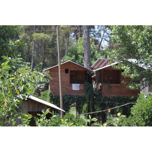 Olympos Camlık Pension