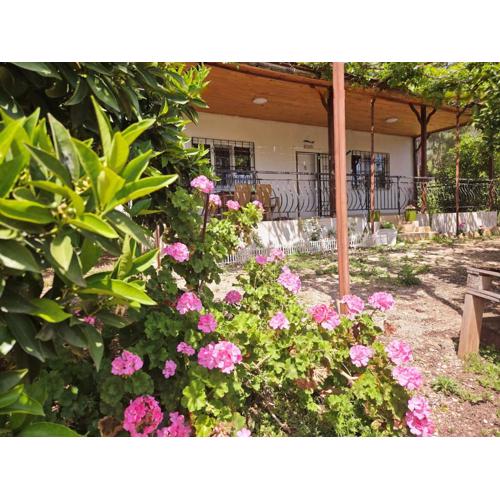 Olympos Orange Village Nature, Sea and You