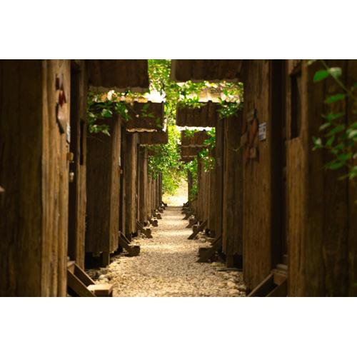 Olympos Yakamoz Pansiyon