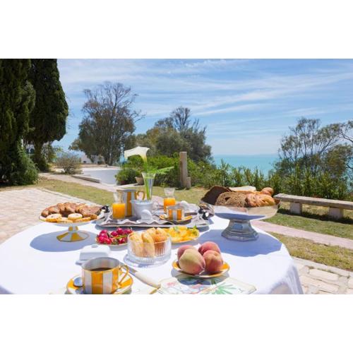 Omar El Khayam B&B avec piscine Sidi Bou Said