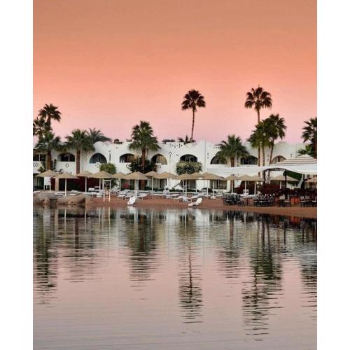One-Bedroom Apartment at Domina Coral Bay