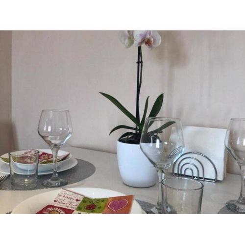 One bedroom apartment with terrace