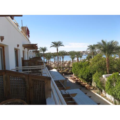 Oonas Dive Club