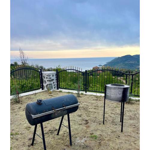 Ordu Tiny House