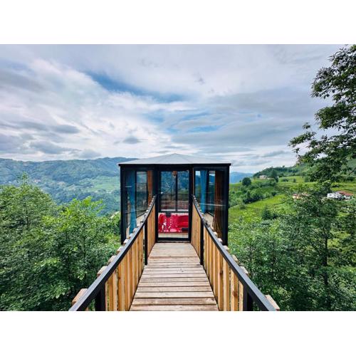 Organic village bungalow