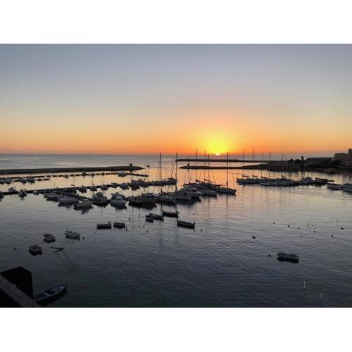 Ortigia D\