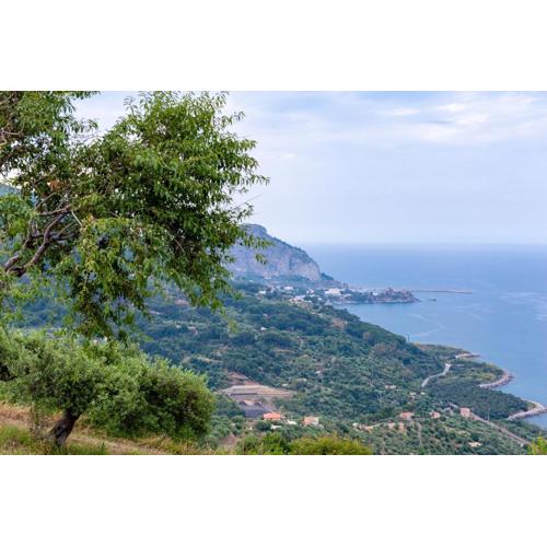 Orto Degli Ulivi