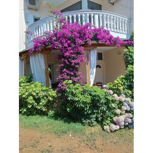 Oruci Apartments