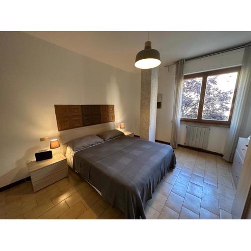 Ospedale Cisanello Bulls House