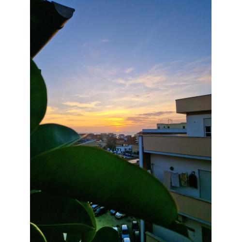 Ostia Sunset