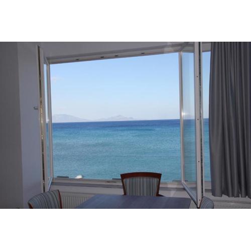 Ostria View