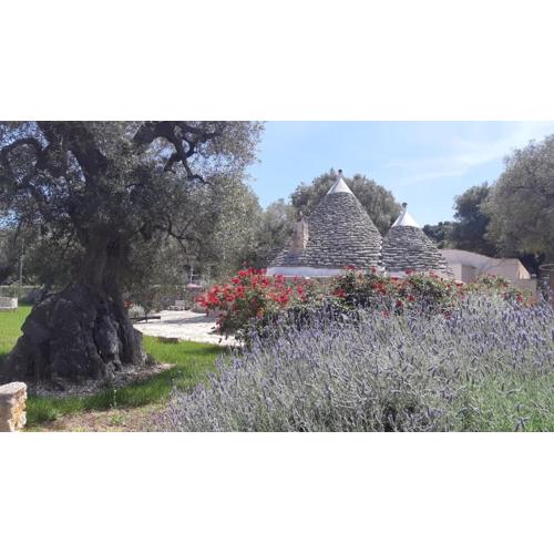 Ostuni trullo di charme