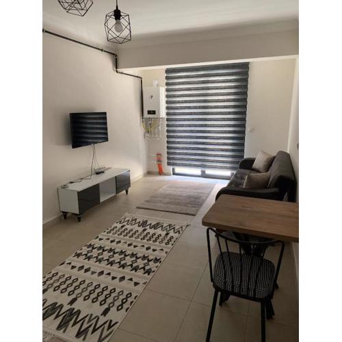 Ozan Group