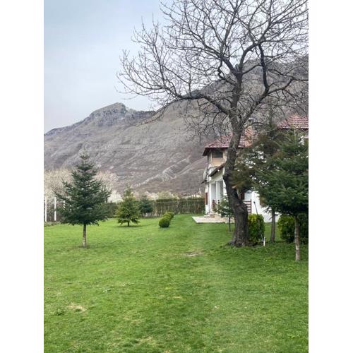 Paja Guesthouse - Camping