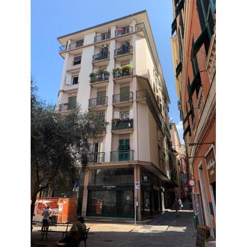 Palazzo Nuovo
