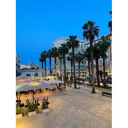 Palm Central House