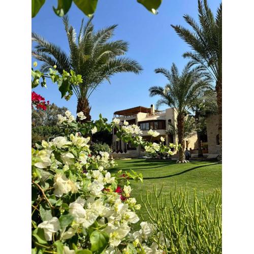 palm shadow resort