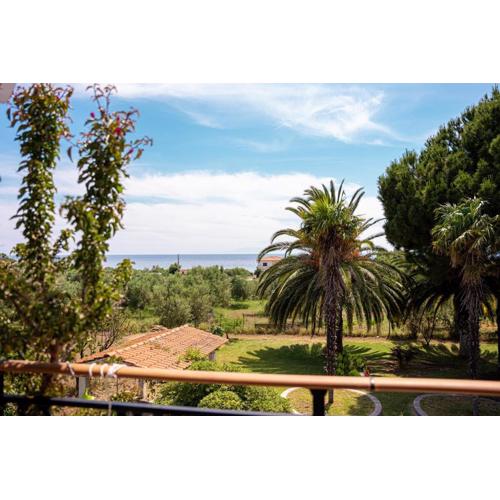 Palm Tree Villa