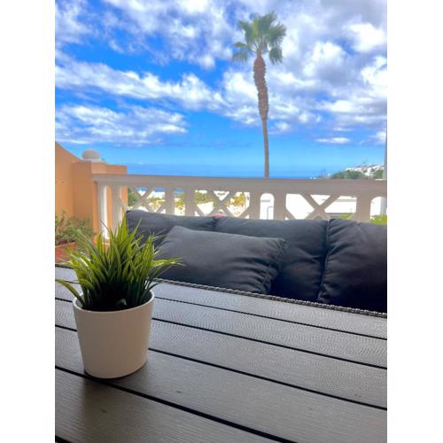Palm Vista