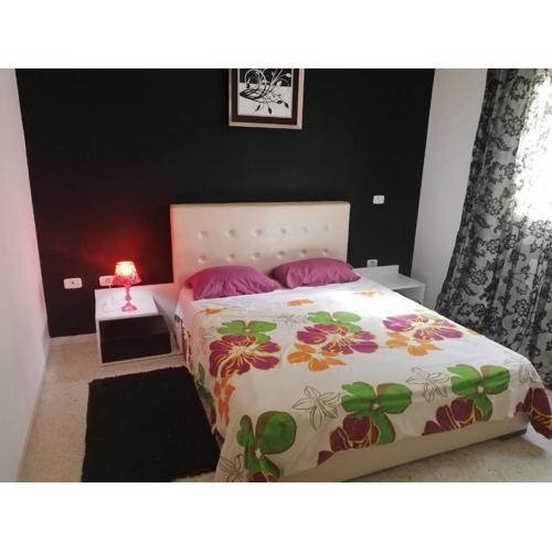 Palmeraies vacances Tunis