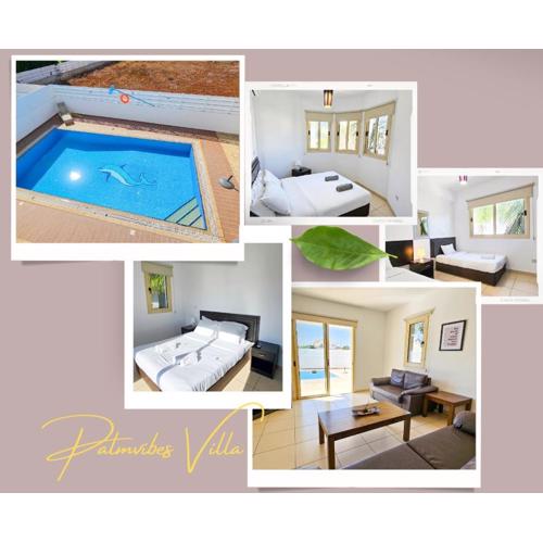Palmvibes Villa