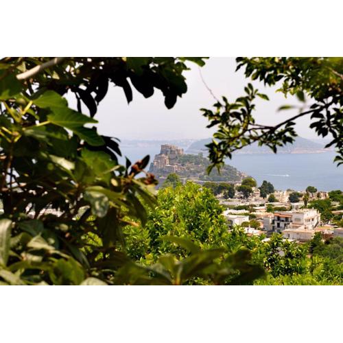 Panorama Carmelina
