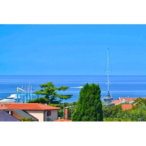 Panorama Punta