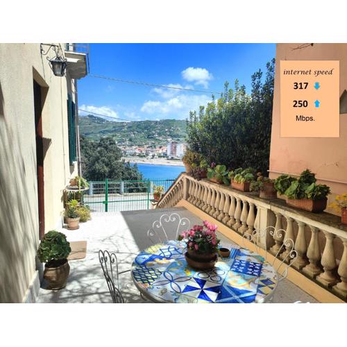 Panoramic Apartments in Villa in Center \