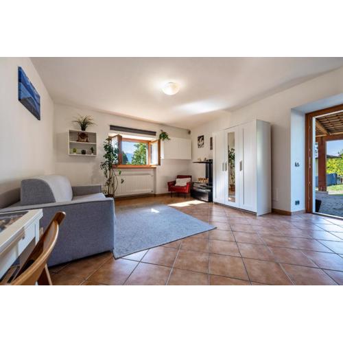 Panoramic Green Studio