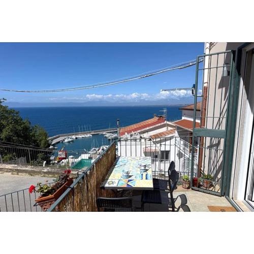 Panoramic on Port near Center \