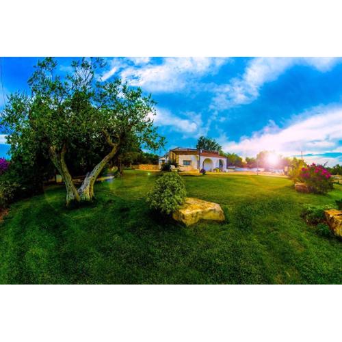 Panoramic trulli with swimming pool in Monopoli