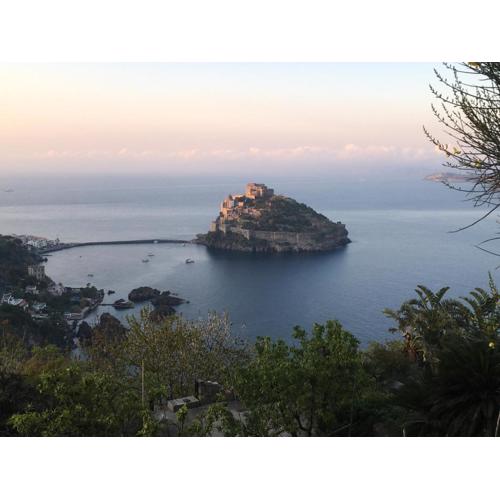 Panoramic villa in the nature of Ischia