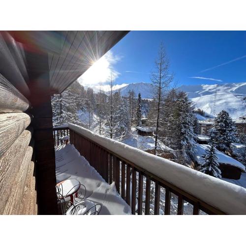 PARADIS LODGE, chalet altitude 2000m, Vue, Plagne Centre, 200m des pistes
