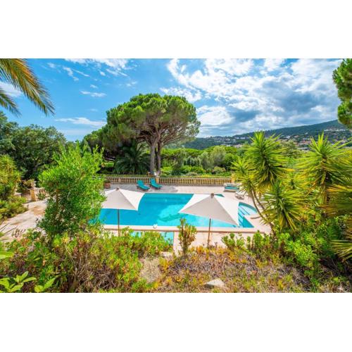 Paradis Provençal