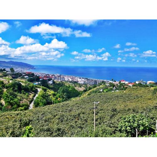 Paradise Villa Trabzon