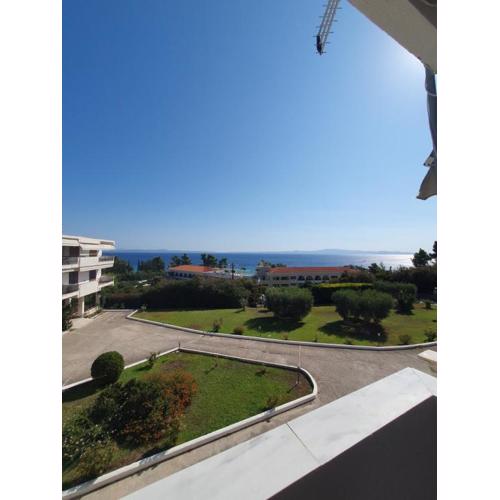 Paralia Homes Ocean Postcard