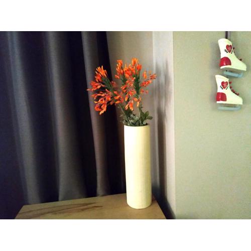 Parnassiko Guest House