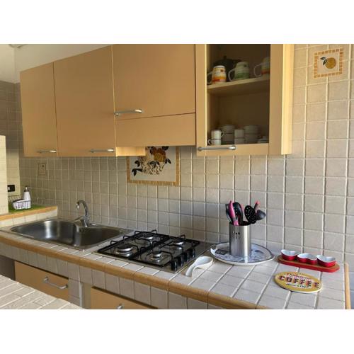 Parvis home