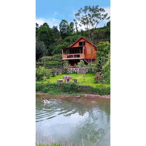 Patika bungalow