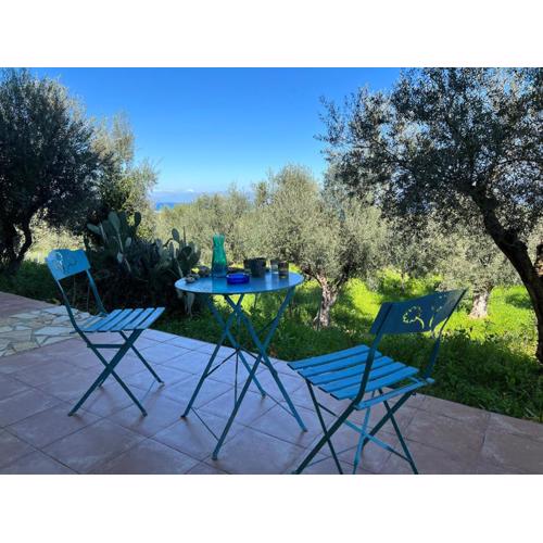 Peaceful home amongst olive groves by the sea
