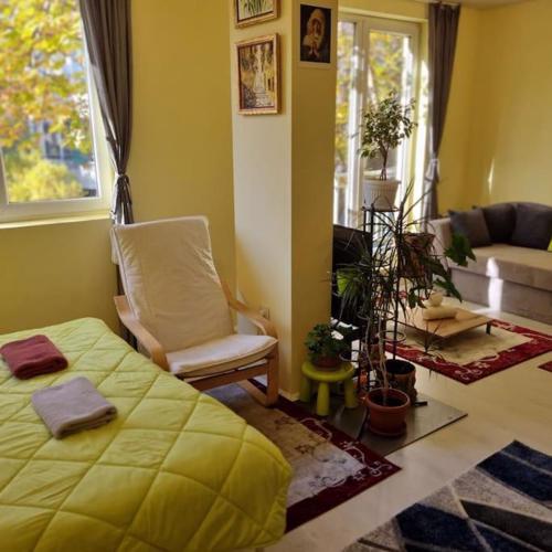 Peaceful studio in the city center, close to subway, Medical University