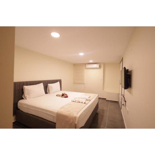 Pekin Spa and Suites