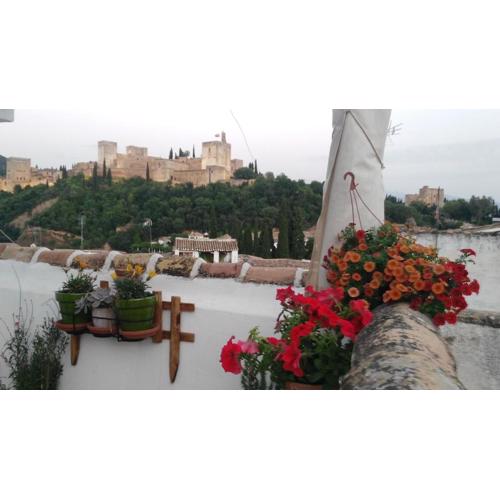 Penthouse 170 m2 facing Alhambra & PrivateTerrace