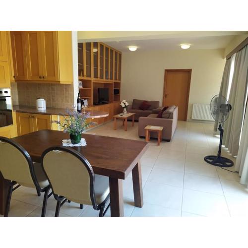 Penthouse Apartment in Nicosia
