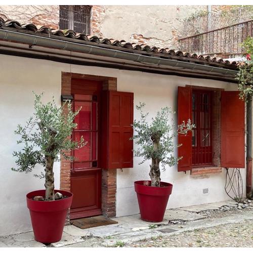Petite chartreuse calme en plein coeur de Toulouse