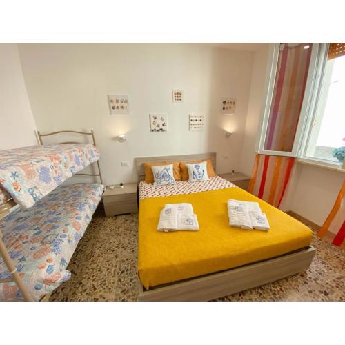 PetlyApartments #12