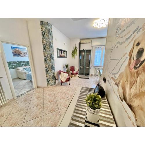 Petlyapartments #Labrador