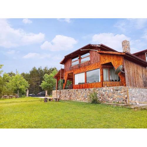 Petunya Orman Evi